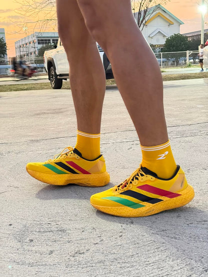 ถุงเท้ารุ่น Light Flow